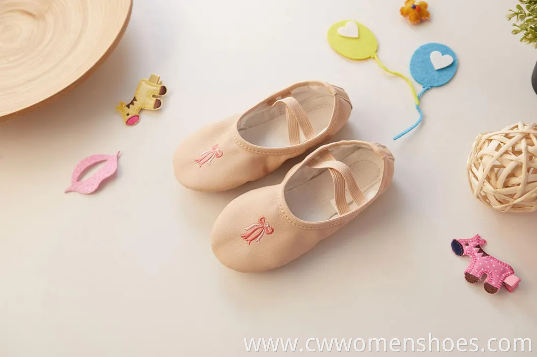 Stylish E5013 Canvas Split Sole Ballet Dance Shoes for Women